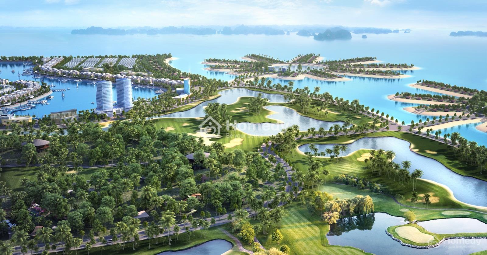 tuan chau marina